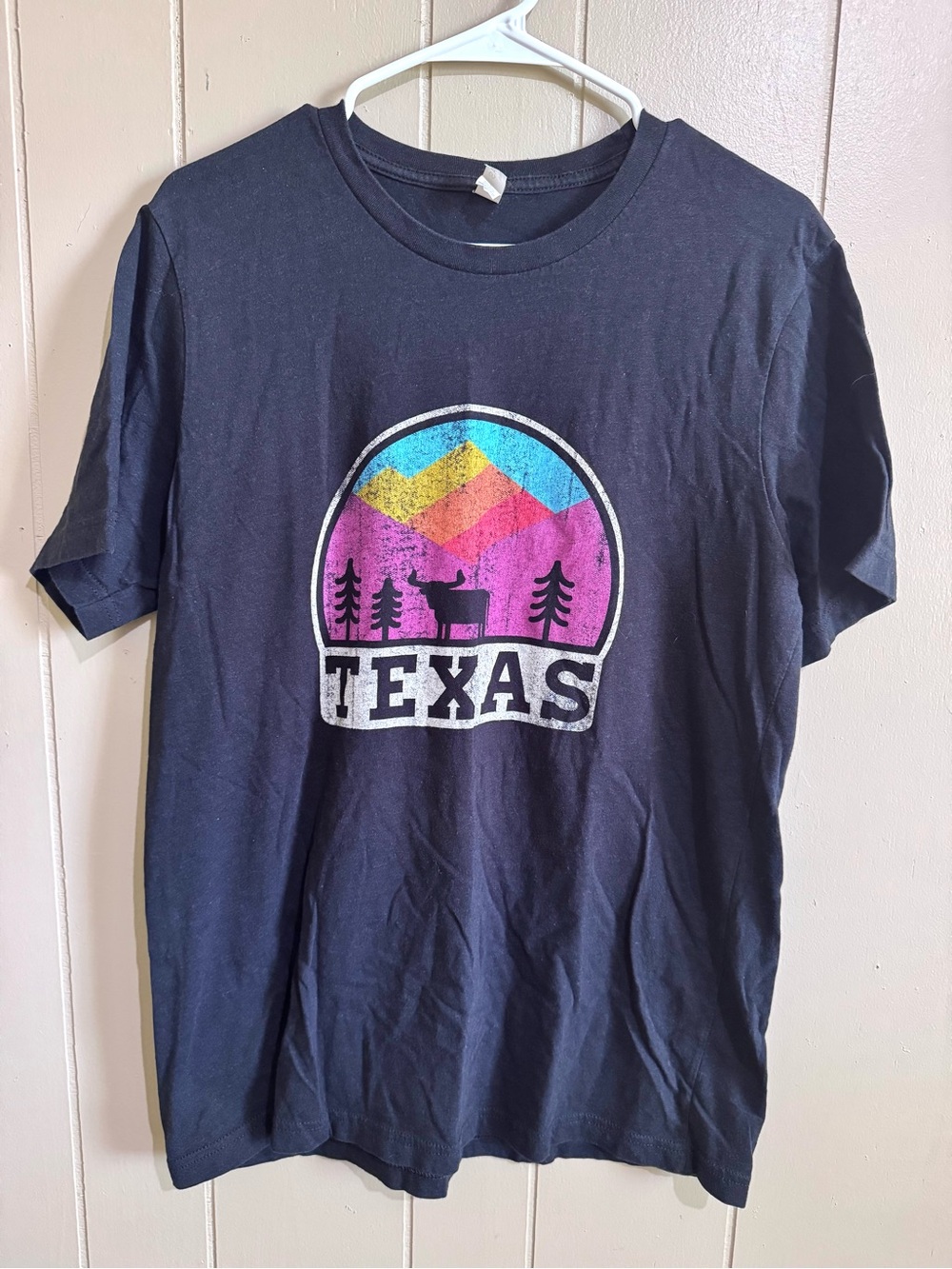 Texas Graphic Tee